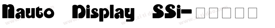 Nauto Display SSi字体转换